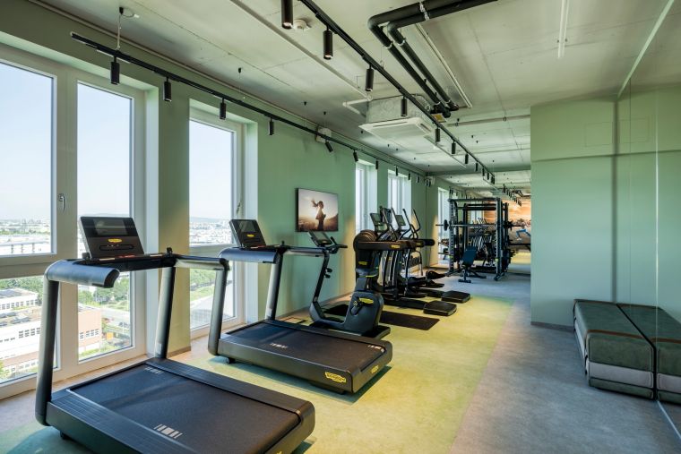 Fitnessraum ausgestattet mit Laufbändern, Gewichten, Fahrrädern und Ellipsentrainern