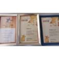 <strong>China Hotel Starlight Awards-Best Serviced Apartment Operators of China</strong></br>