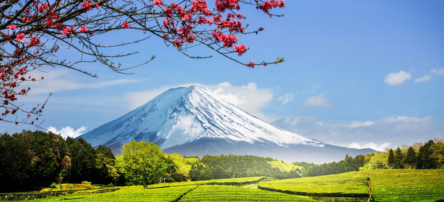 Mount Fuji