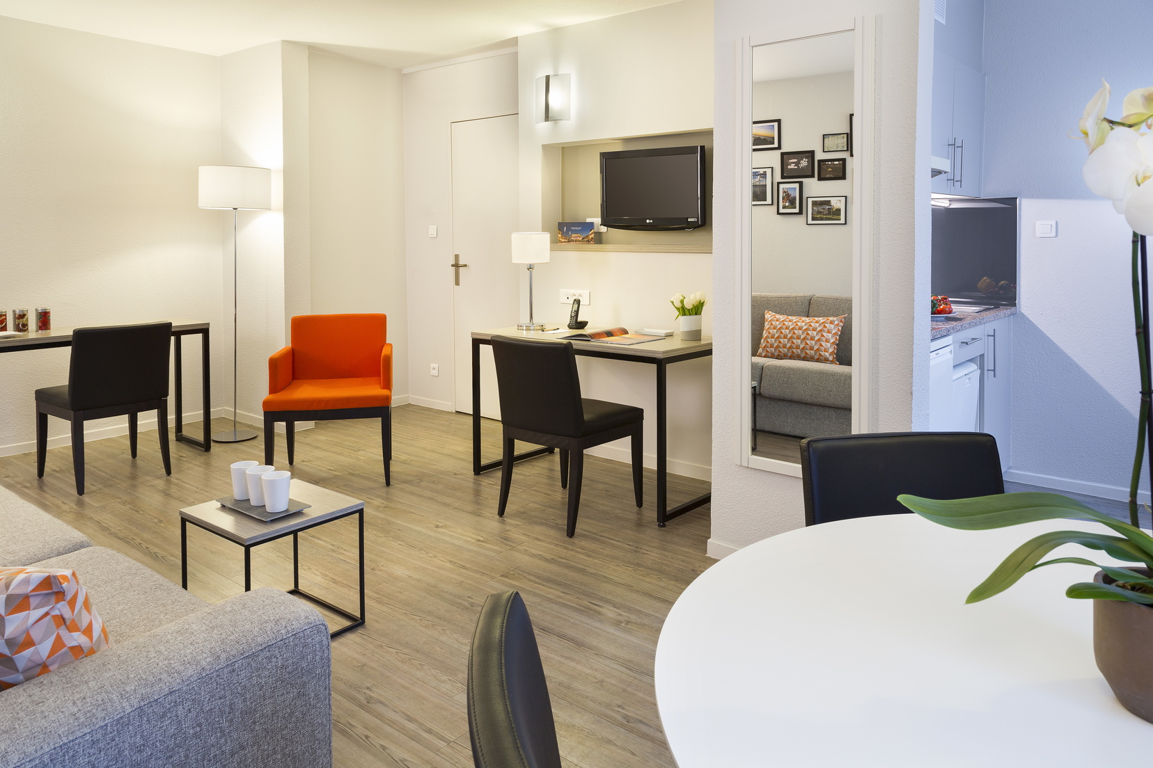 Wohnzimmer eines Apartment mit 1 Schlafzimmer ausgestattet mit einem Schlafsofa und einem Arbeits-/Essbereich, Wohnen auf Zeit in Montpellier